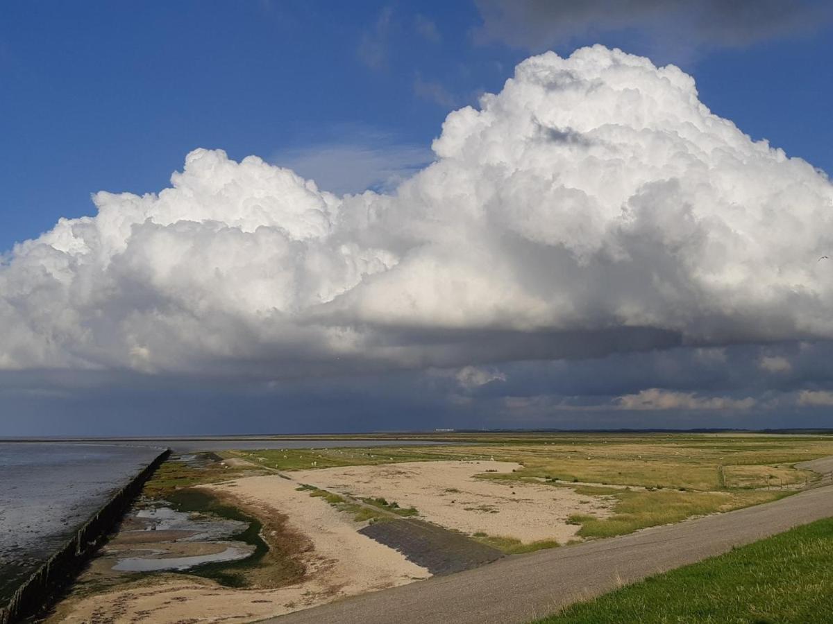 Waddenfestijn Villa Paesens Ngoại thất bức ảnh